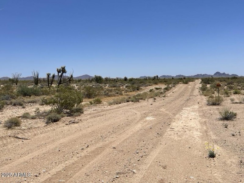 21DE5C62-4BD1-4C95-8F03-39F815A3339E_1_1