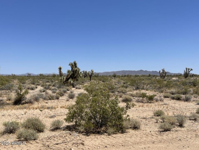 C2FBBA99-A8E1-4D63-A336-DAF5892E9723_1_1