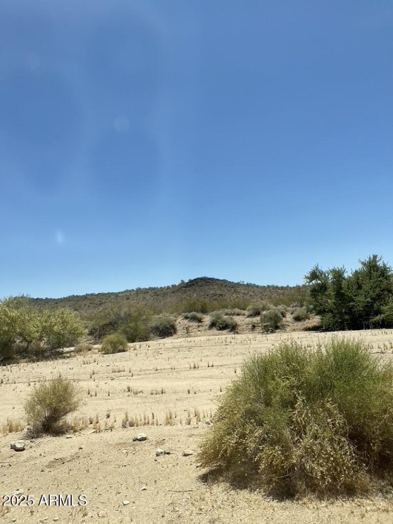 E3138FE1-6FAD-4D81-8944-248E084340C9_1_1