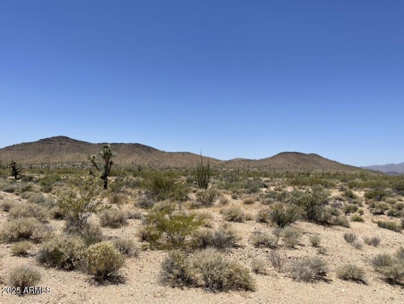 01E0A3A2-B2C4-40D7-9453-4591C43CAFF7_1_1