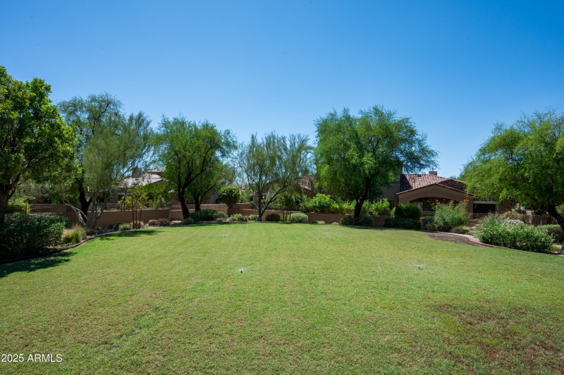 Large Grass Area
