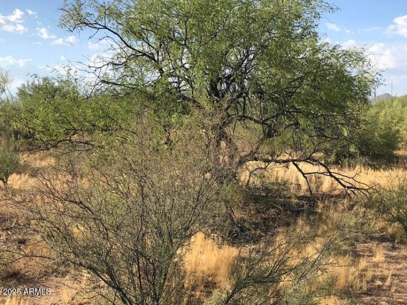 20190905002835881348000000-o