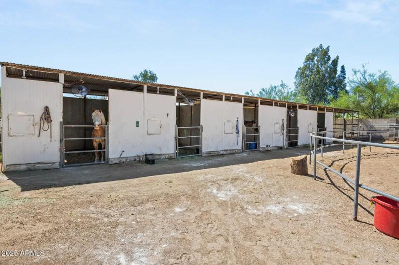 horse stalls