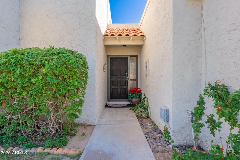 4-web-or-mls-Medlock-4