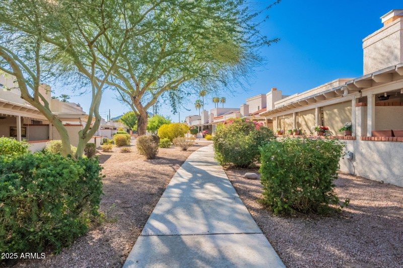 45-web-or-mls-Medlock-45