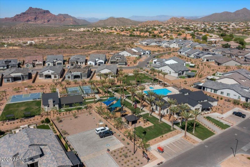 099-Aerial community