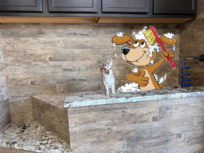 Dog Wash-Virtual Image