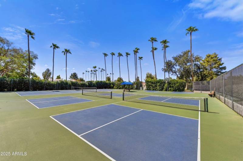 030_Area Sport Courts