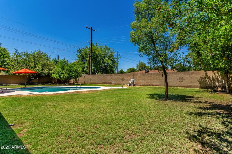 Backyard with irrigation