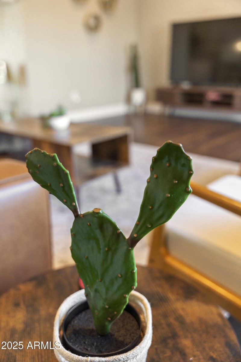 64_8655_E_Monte_Vista_Dr__61