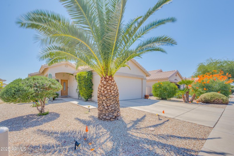 2431 E Hancock Trl-Ext-9