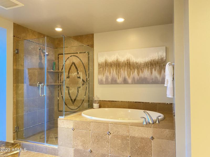 Master Bathroom Shower:Tub