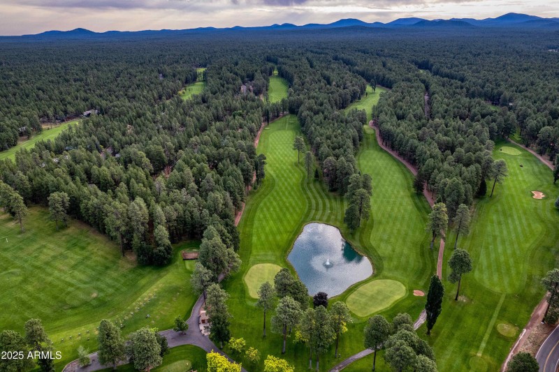 047_photo47_3723_crown_dancer_dr._pt_kar