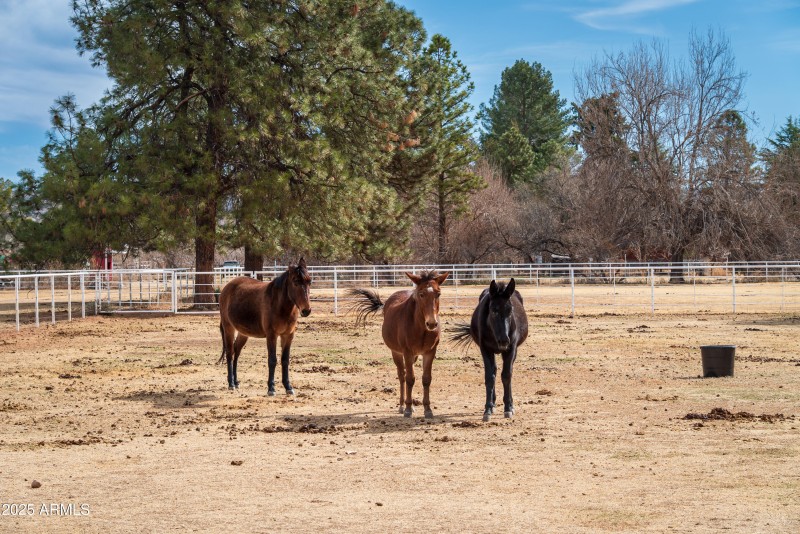 JL_4000WMahoneyRd-exteriors-05