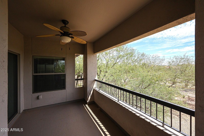 Oversized Back Patio