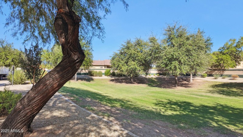 COMMUNITY PARK GREEN BELT