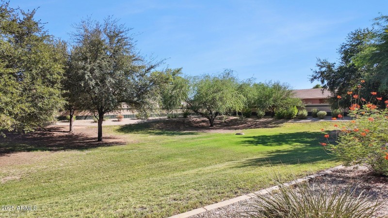 COMMUNITY PARK GREEN BELT