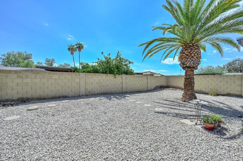 Backyard Desert Landscaping Privacy Wall