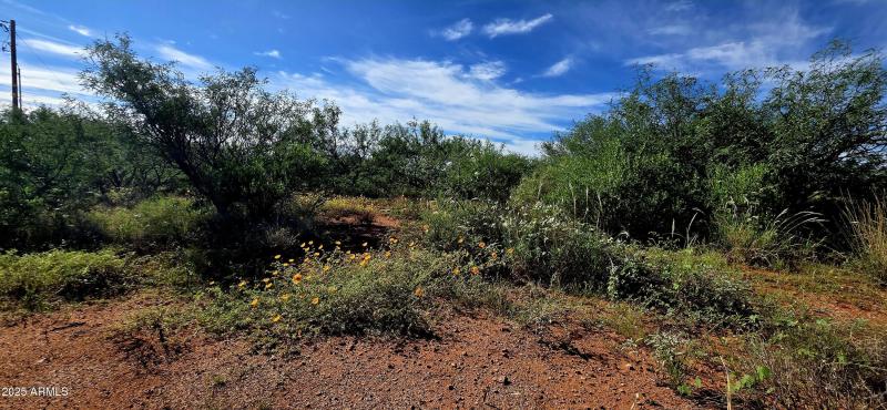 TBD 40 AC Ronald Reagan Parkway