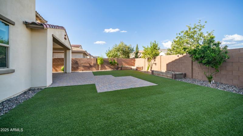 Custom Designed Backyard