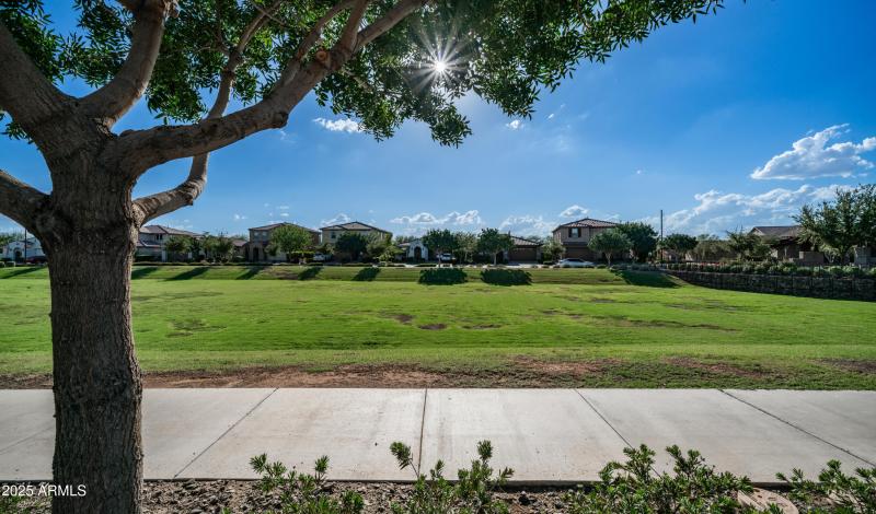 Large Park Right in Front of House