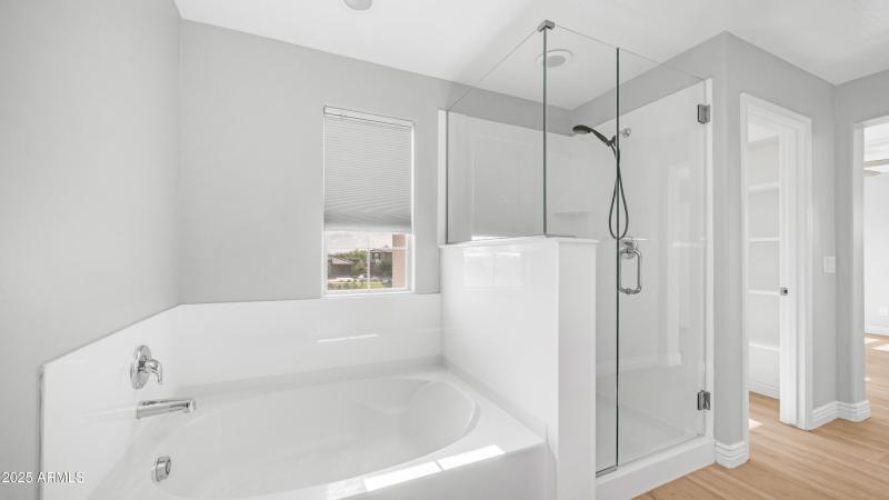 Walk-In Shower with Separate Tub