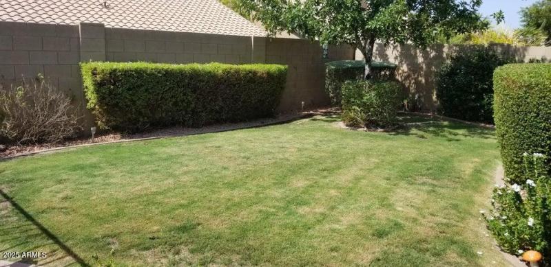 20190418083109628410000000-o