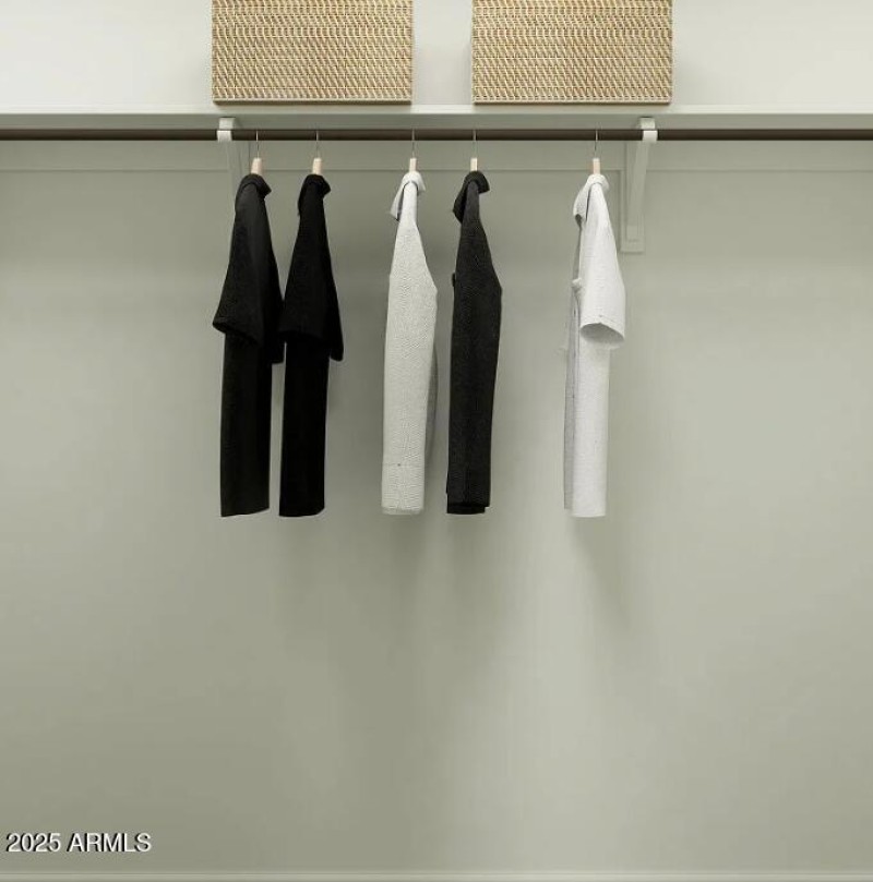 Owners Walk in Closet