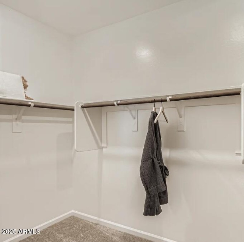 Owners Walk in Closet