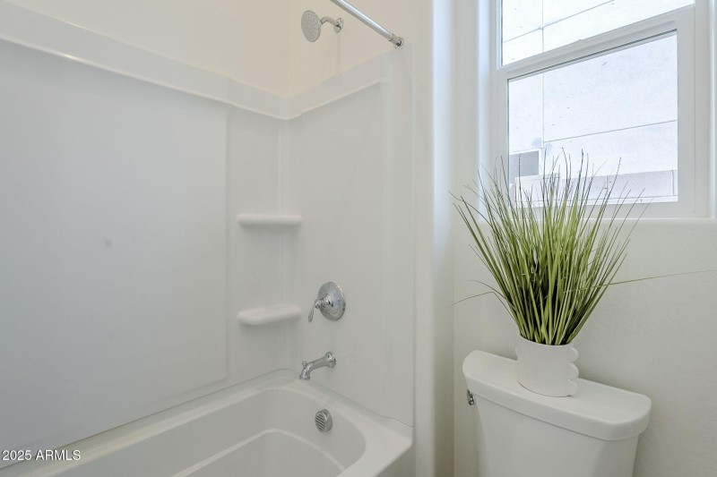 40-web-or-mls-Bighorn-40