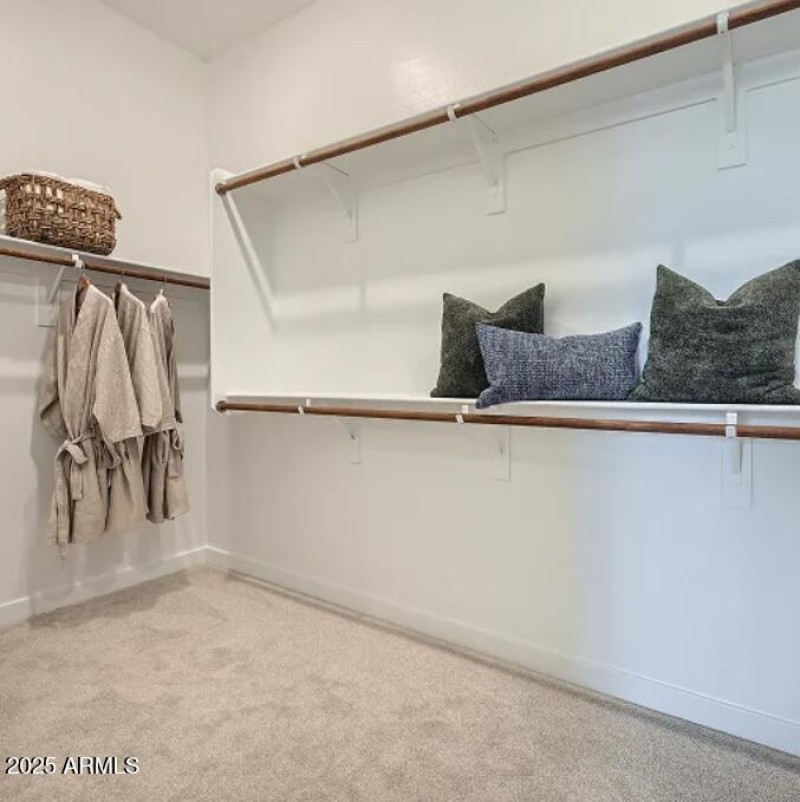 Owners Walk in Closet