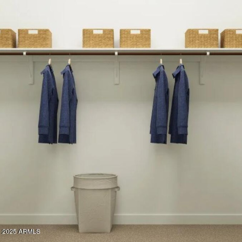 Owners Walk in Closet