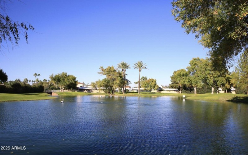 Screen Shot 2025-09-17 at 3.44.13 PM