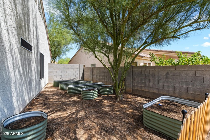 Side yard with garden beds