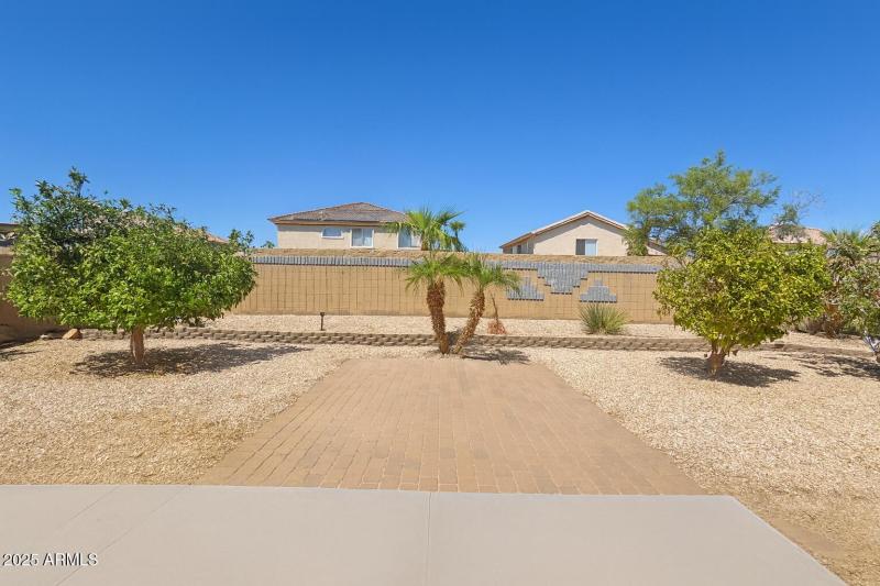 Suburban Backyard, Clear Sky Day