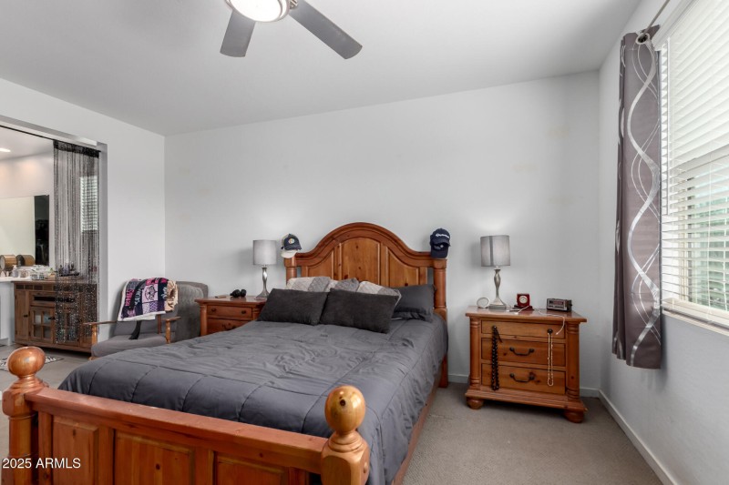 15 - Italian Trotter