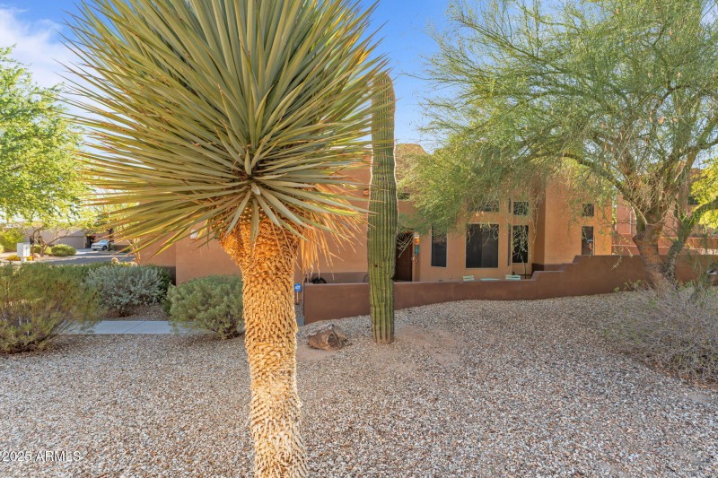 2-web-or-mls-DSC09594