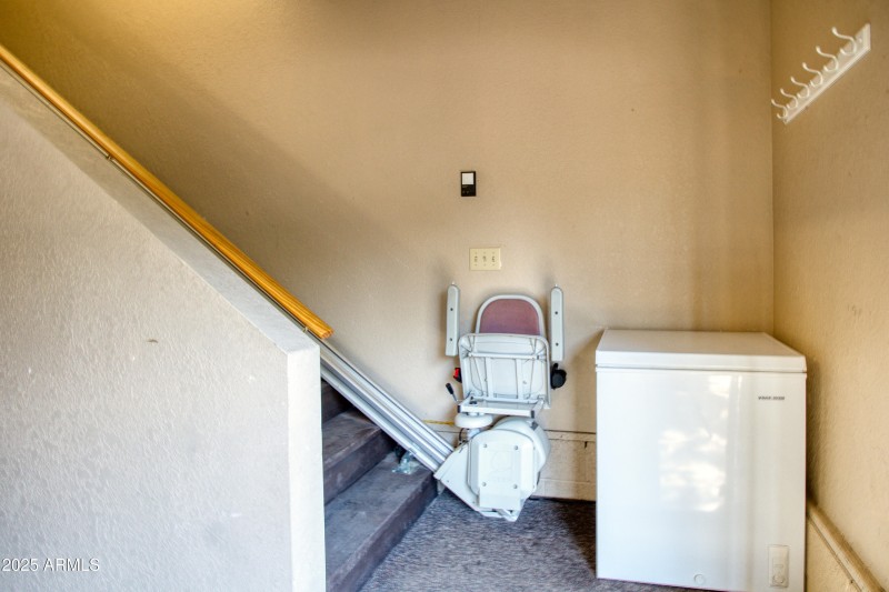 Paxmanphoto_PAX_9245