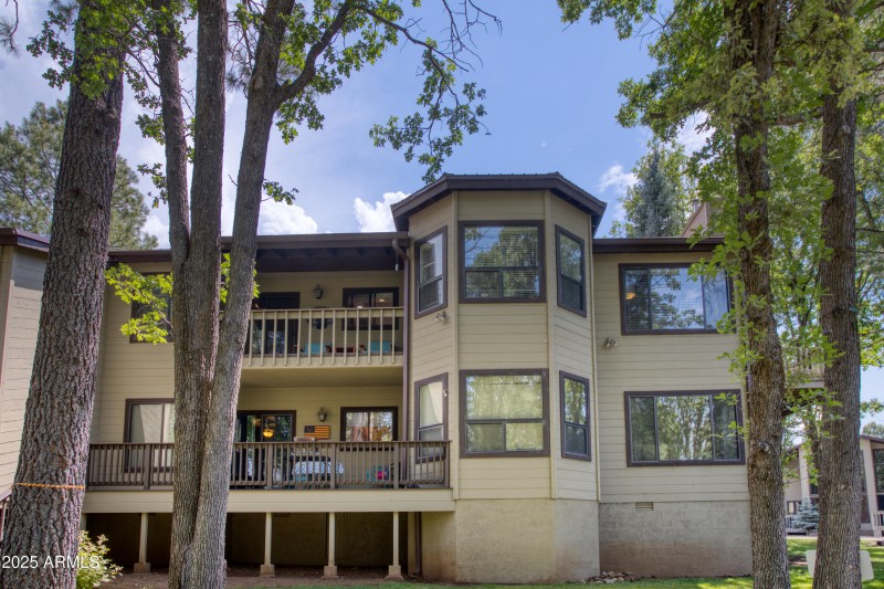 Paxmanphoto_PAX_9313