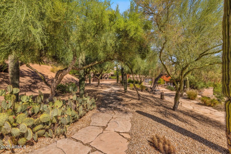 Looking out from the backyard