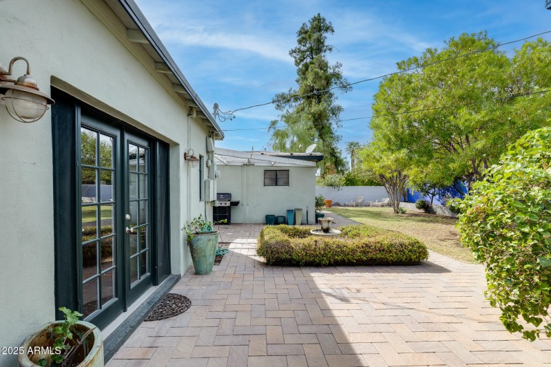 Backyard / Back of Home