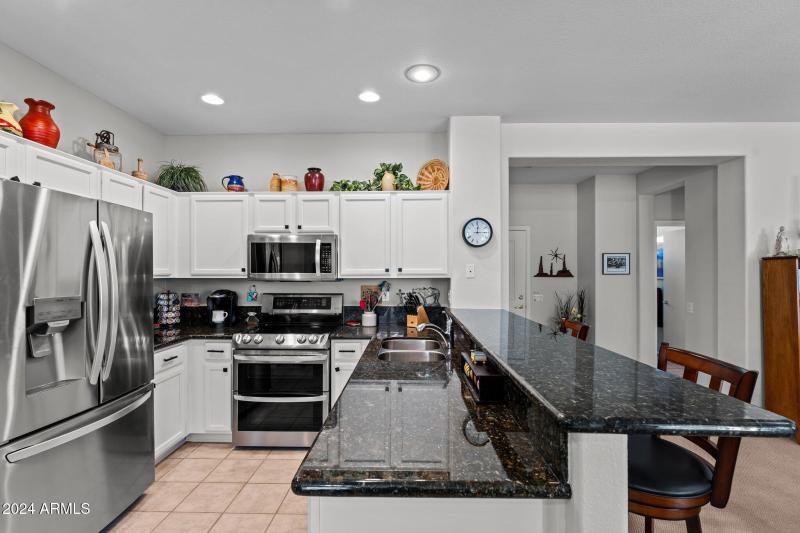 19558 N Desert Garden Dr