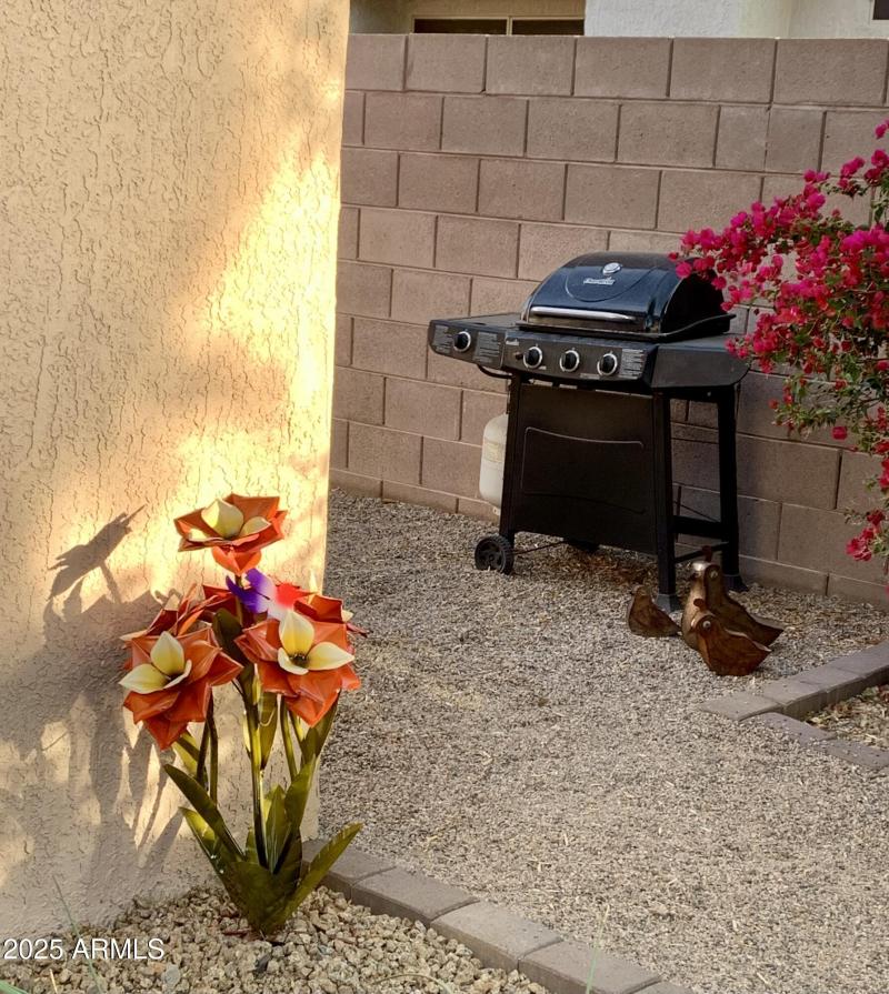 19558 N Desert Garden Dr