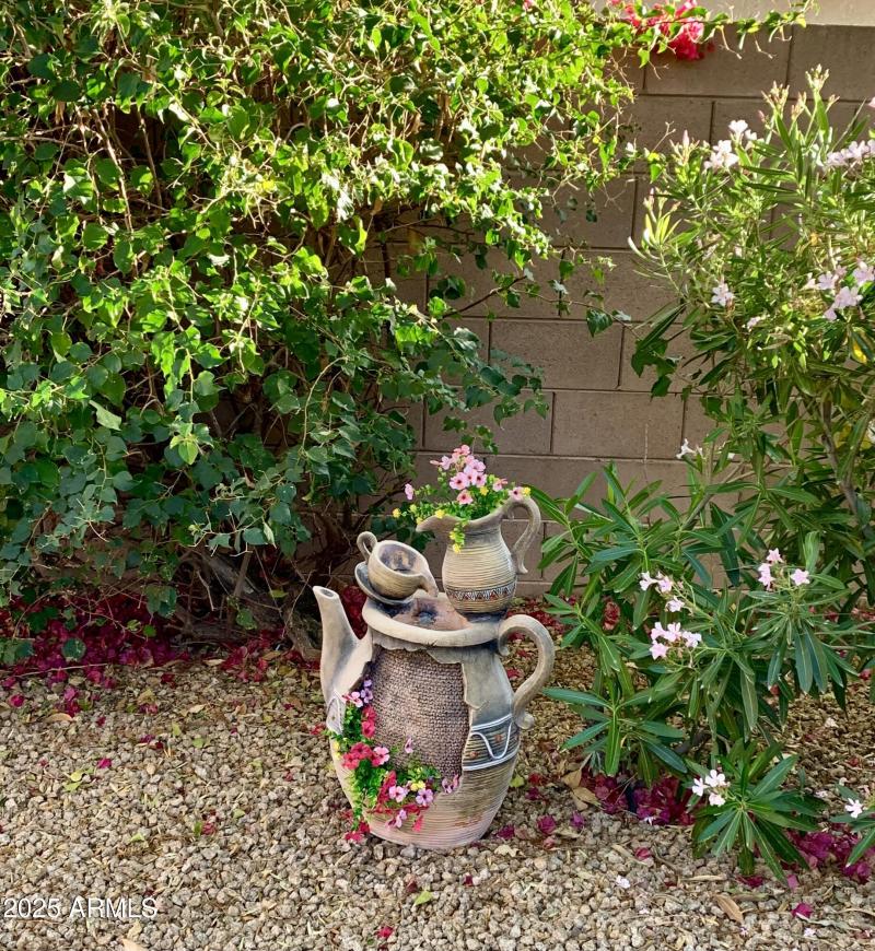 19558 N Desert Garden Dr