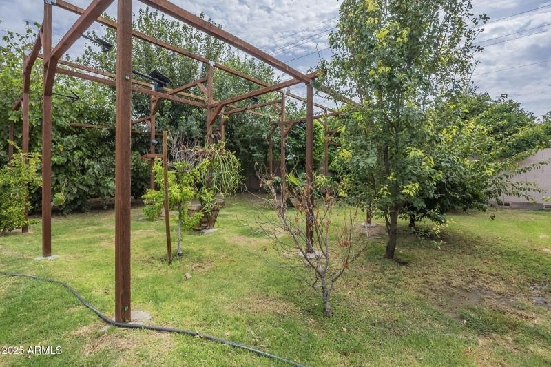 89-web-or-mls-Starflower-18