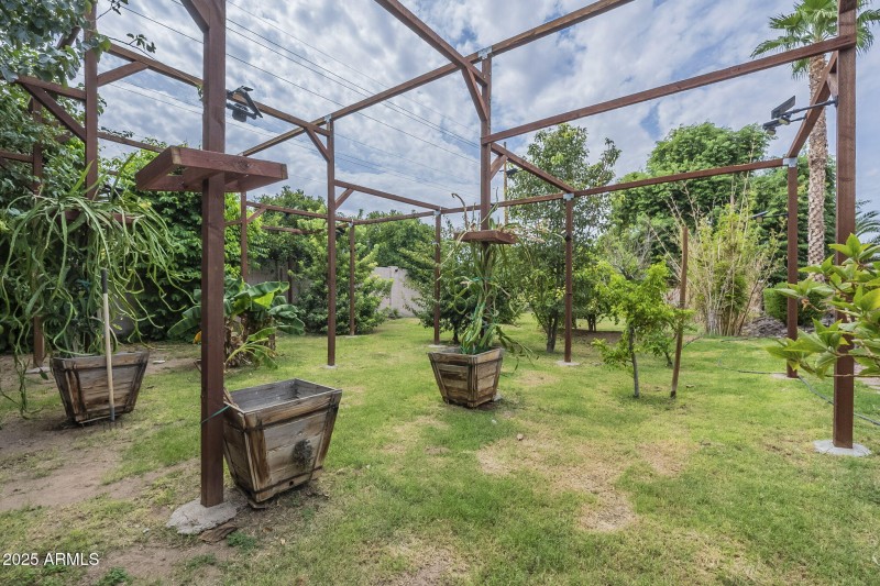 91-web-or-mls-Starflower-20