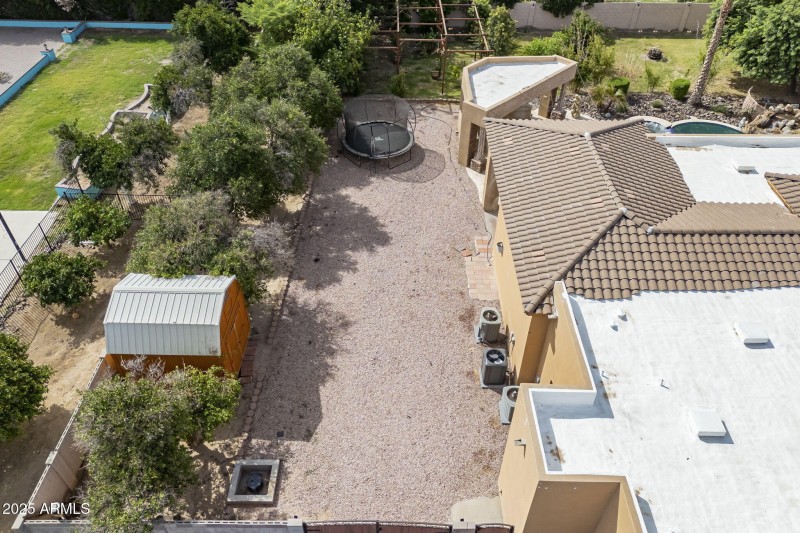 106-web-or-mls-Starflower-81