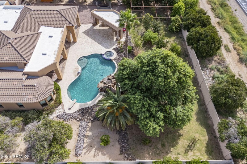 107-web-or-mls-Starflower-82