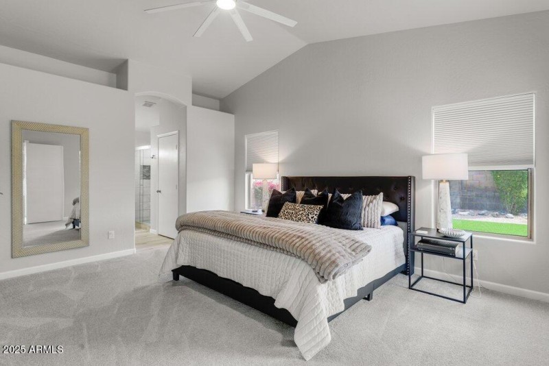 Primary Bedroom Vaulted Ceilings