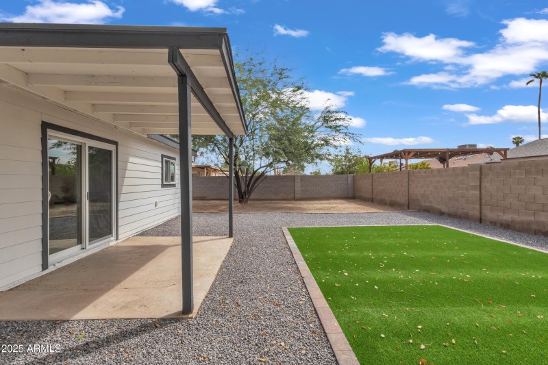 Backyard